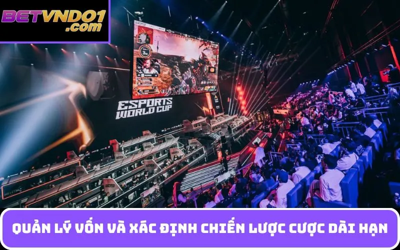 Quản lý vốn và xác định chiến lược cược dài hạn